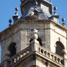 Casco Antiguo