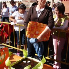 Fiestas del Barrio 2008