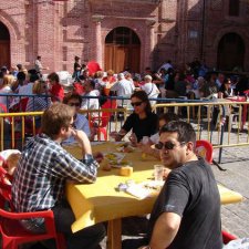 Fiestas del Barrio 2008