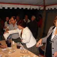 Fiestas del Barrio 2008