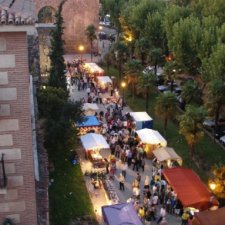 Fiestas del Barrio 2009