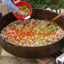 Fiestas del Barrio 2010