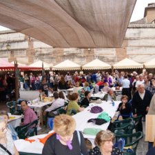 Fiestas del Barrio 2010