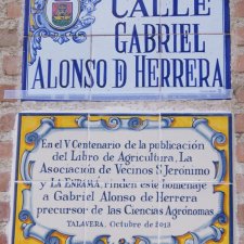 Fiestas del Barrio 2013