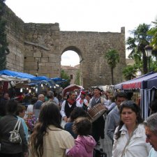 Mercado especial "Batalla de Talavera" (2009)