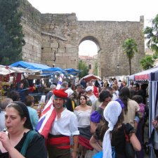 Mercado especial "Batalla de Talavera" (2009)