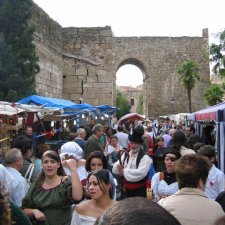 Mercado especial "Batalla de Talavera" (2009)