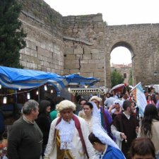 Mercado especial "Batalla de Talavera" (2009)