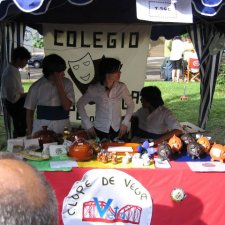 Mercado especial "Batalla de Talavera" (2009)