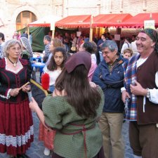 Mercado especial "Batalla de Talavera" (2009)