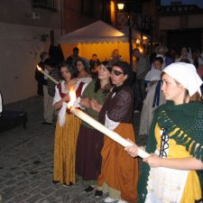 Mercado especial "Batalla de Talavera" (2009)