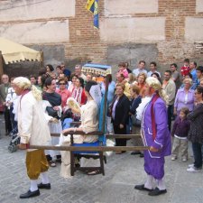 Mercado especial "Batalla de Talavera" (2009)