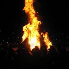 Mondas 2008